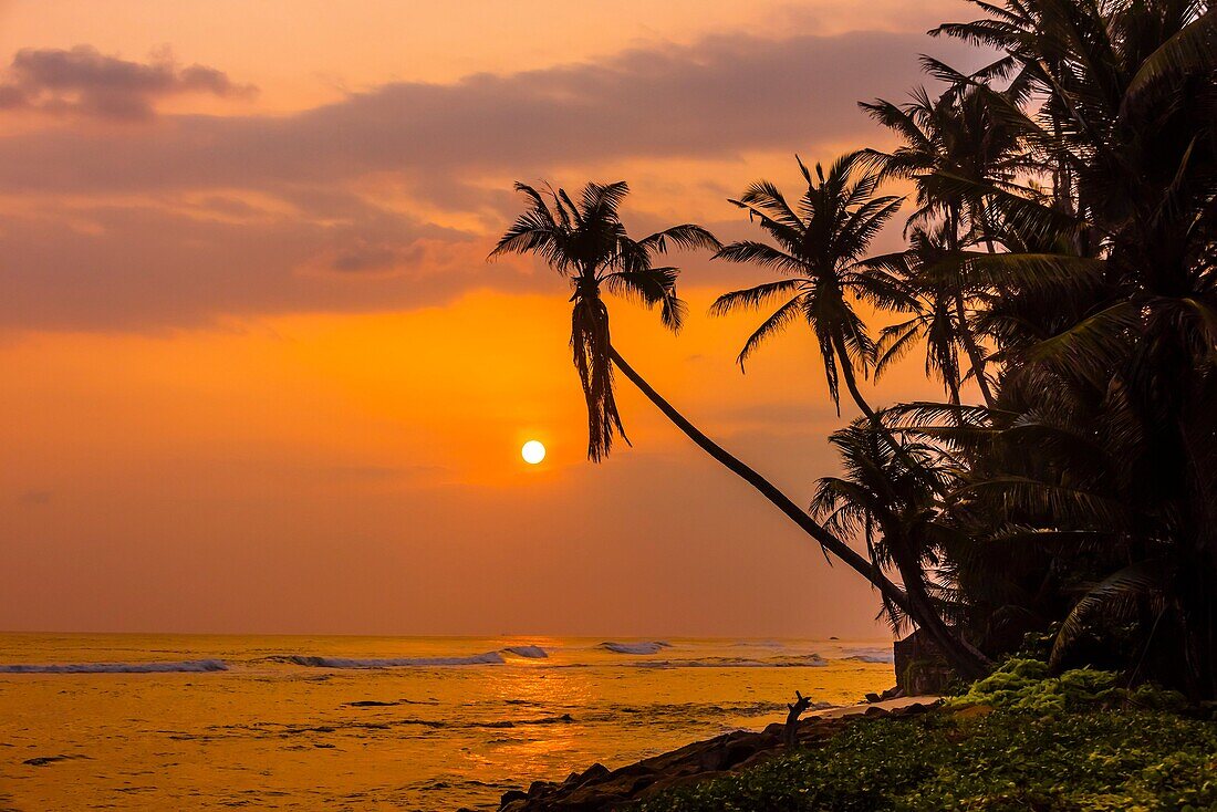 Sunset, south coast of Sri Lanka at Ahangama