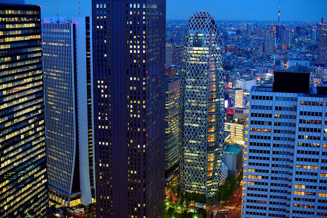 Aerial view of the Japanese capital city seen from the Metropolitan Govemment Building (Tokyo CityHall, Japan,Asia
