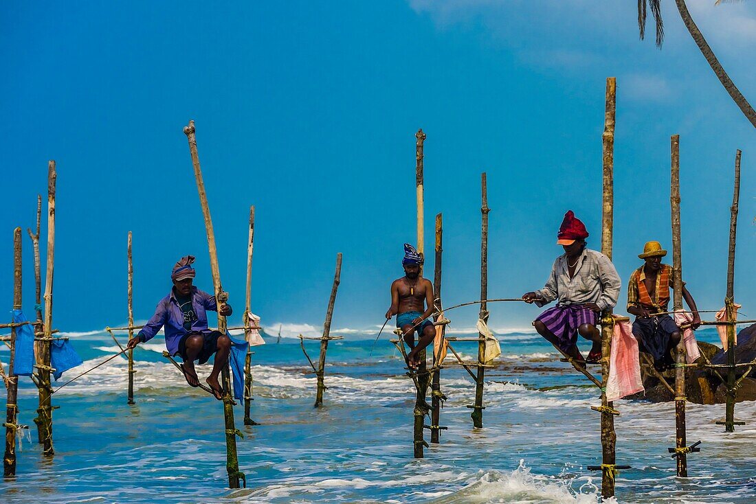 Stilt fishermen, Ahangama, Southern Province, Sri Lanka