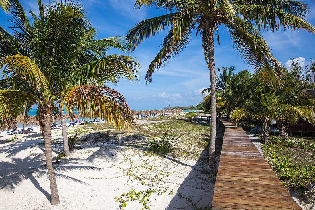 Cayo Levisa, Pinar del Rio Province, Cuba, West Indies, Caribbean, Central America