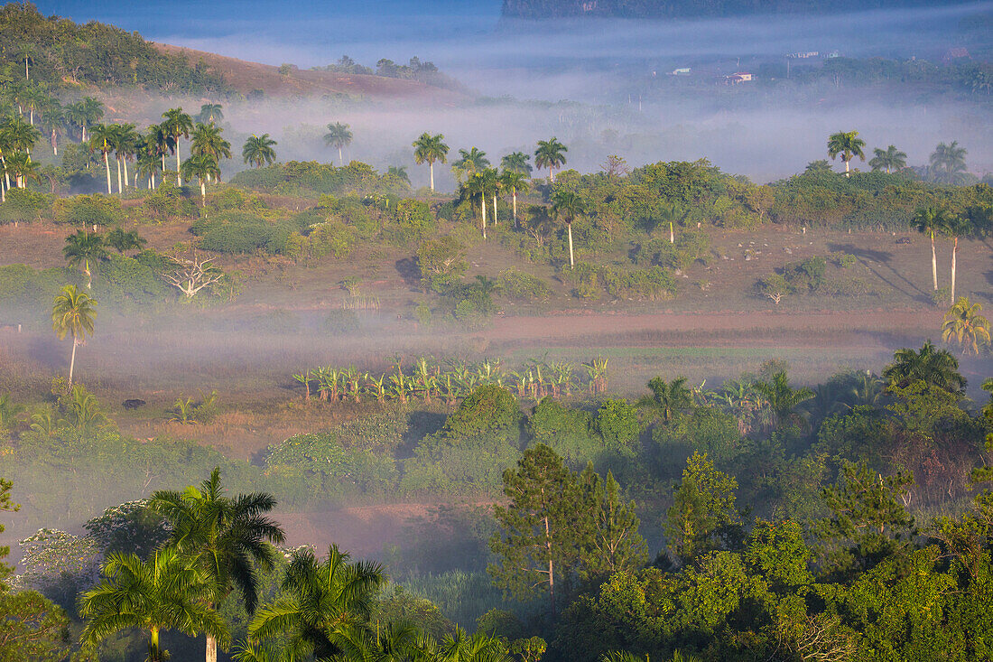 View of Vinales Valley, UNESCO World Heritage Site, Vinales, Pinar del Rio Province, Cuba, West Indies, Caribbean, Central America