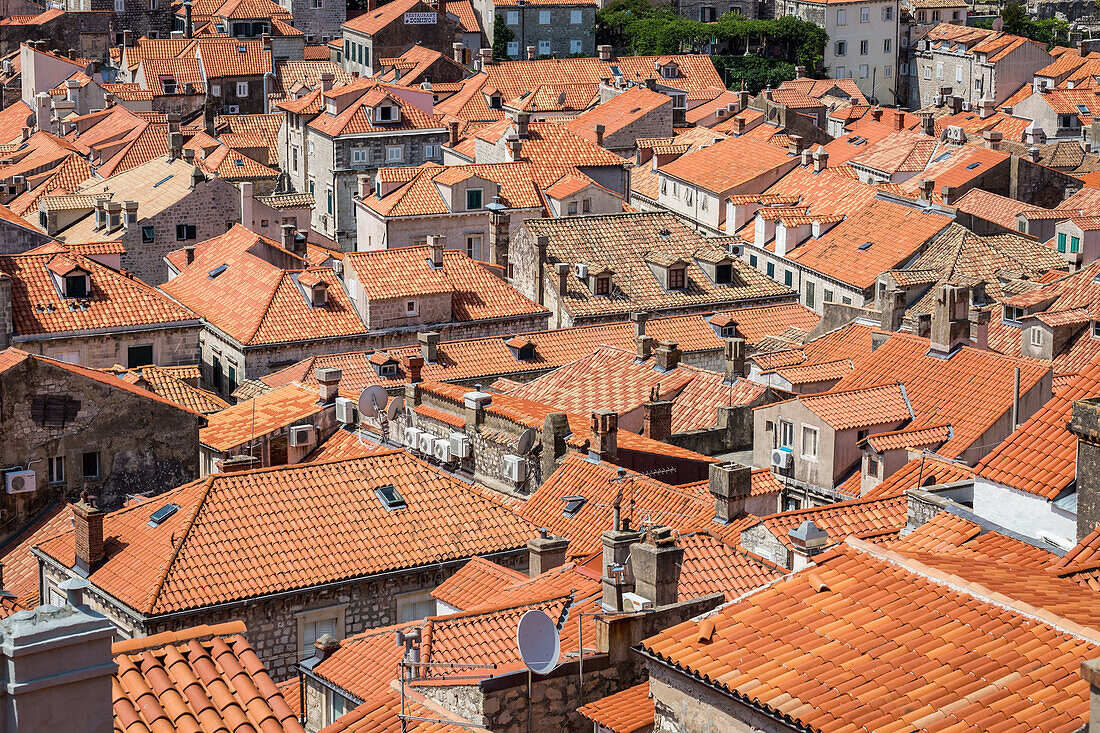 Looking across Dubrovnik's terracotta tiled rooftops, Dubrovnik, Croata, Europe