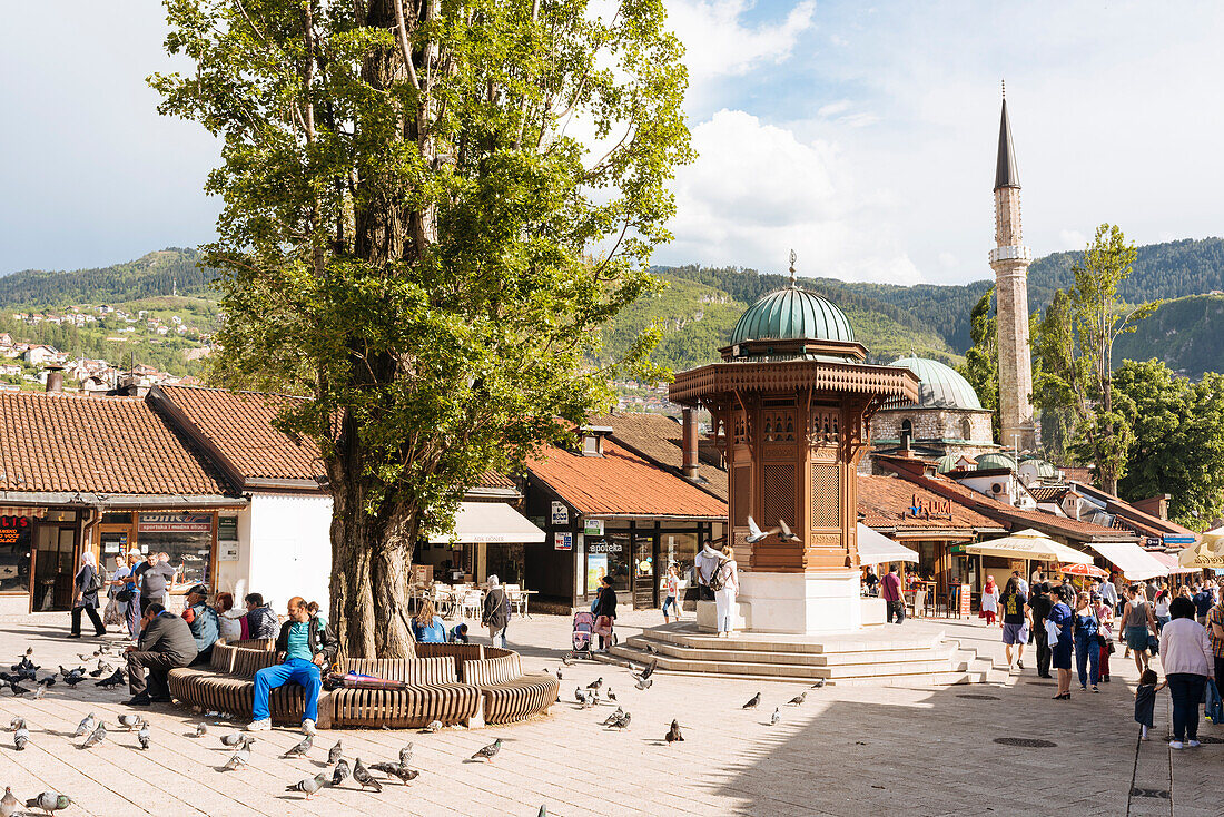 Pigeon Square, Old Town, Sarajevo, Bosnia and Hercegovina, Europe
