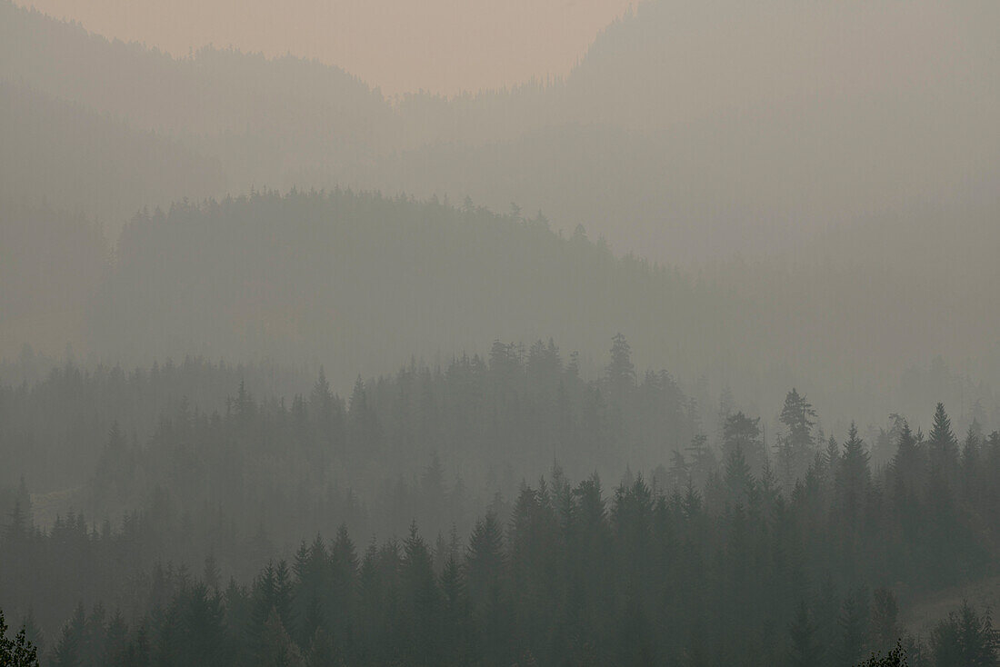 Idyllic shot of mountain in foggy weather, Britania, Canada, British Columbia