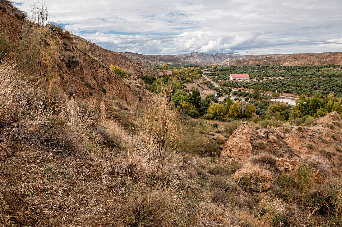 fields near Cuevas, la Granja, Guadix, Andalusia, Spain, Europe