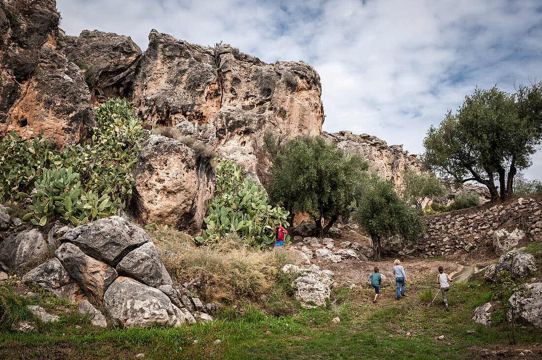 Children playing in an olive grove, Cuevas, la Granja, Guadix, Andalusia, Spain, Europe