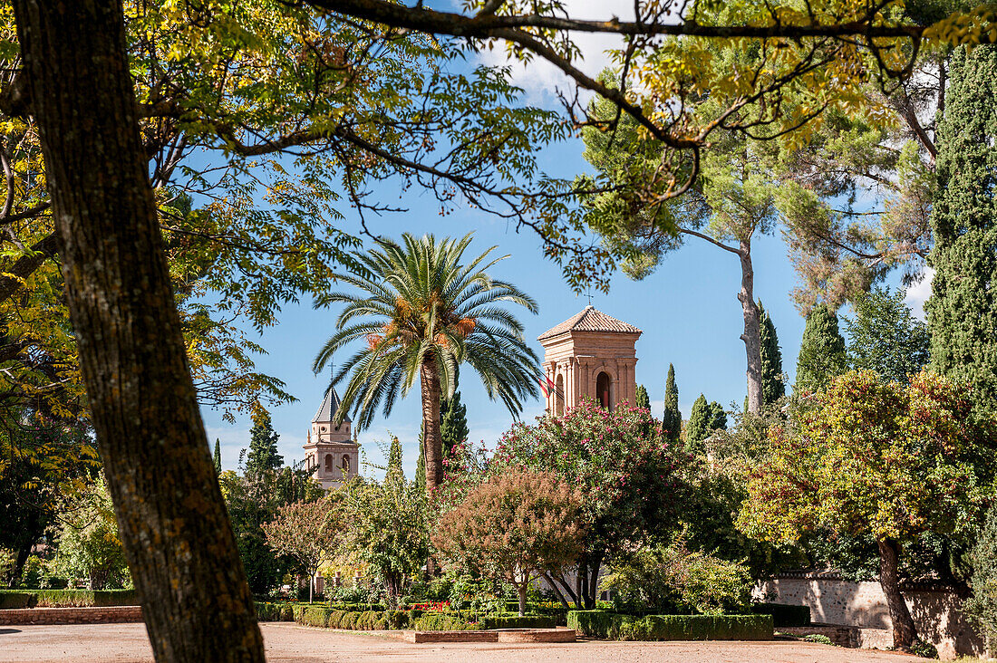 Garten, Alhambra, Granada, Andalusien, Spanien, Europa