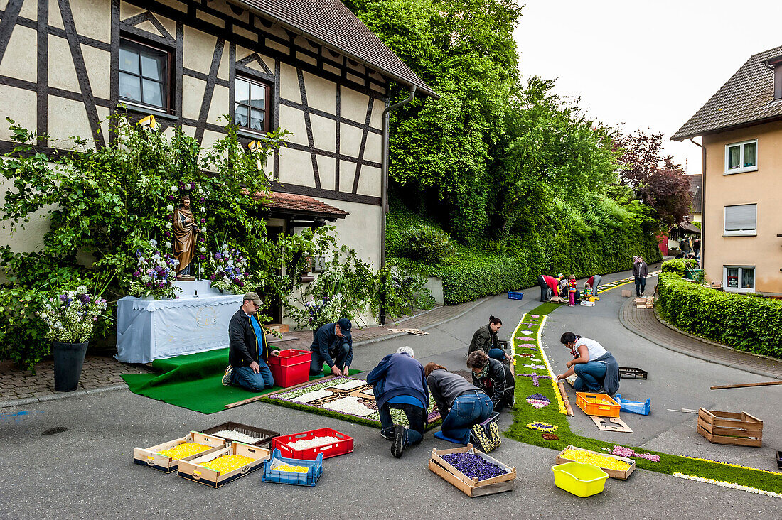 People arranging petals for the flower carpet, Corpus Christi, Feast of Corpus Christi, procession, Sipplingen, Lake Constance, Baden-Wuerttemberg, Germany, Europe