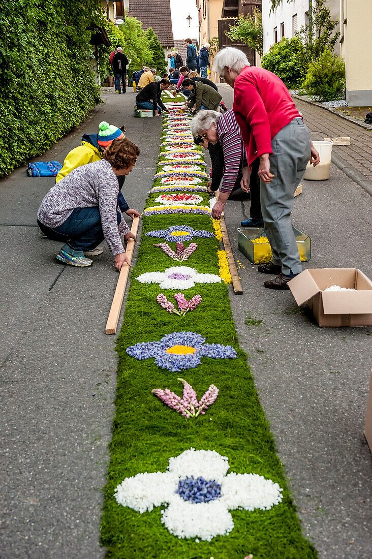 People arranging petals for the flower carpet, Corpus Christi, Feast of Corpus Christi, procession, Sipplingen, Lake Constance, Baden-Wuerttemberg, Germany, Europe