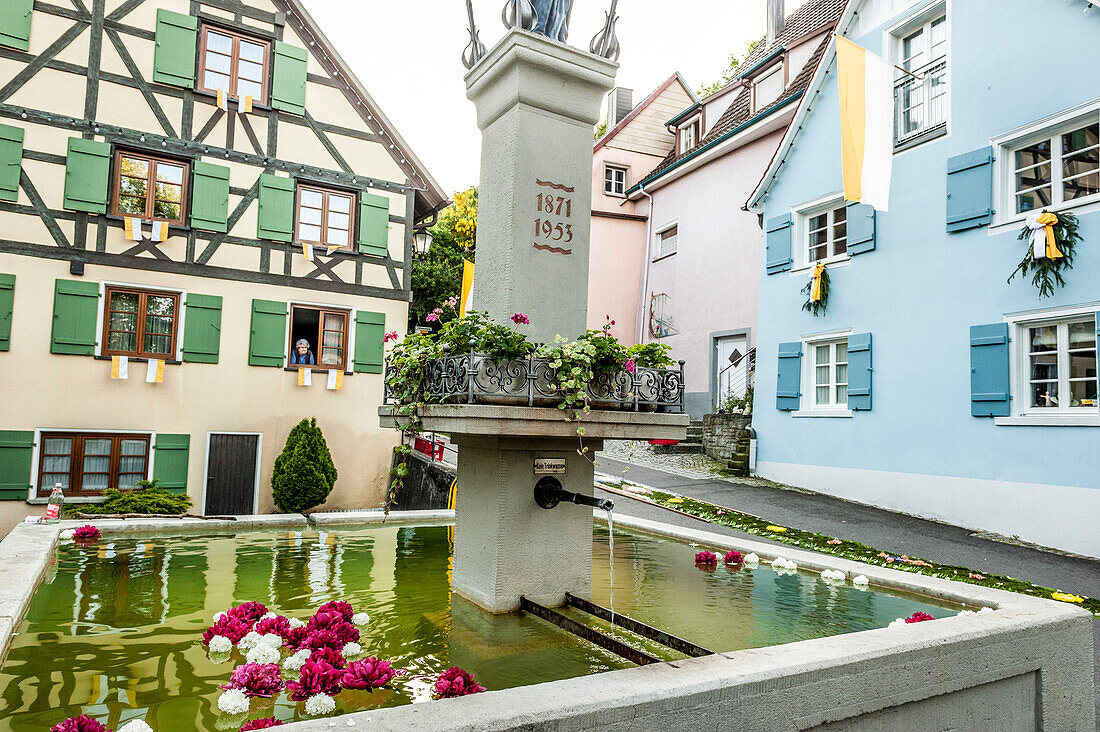 Blüten in einem Brunnen, Blumenteppich, Fronleichnam, Prozession, Sipplingen, Überlinger See, Bodensee, Baden-Württemberg, Deutschland, Europa