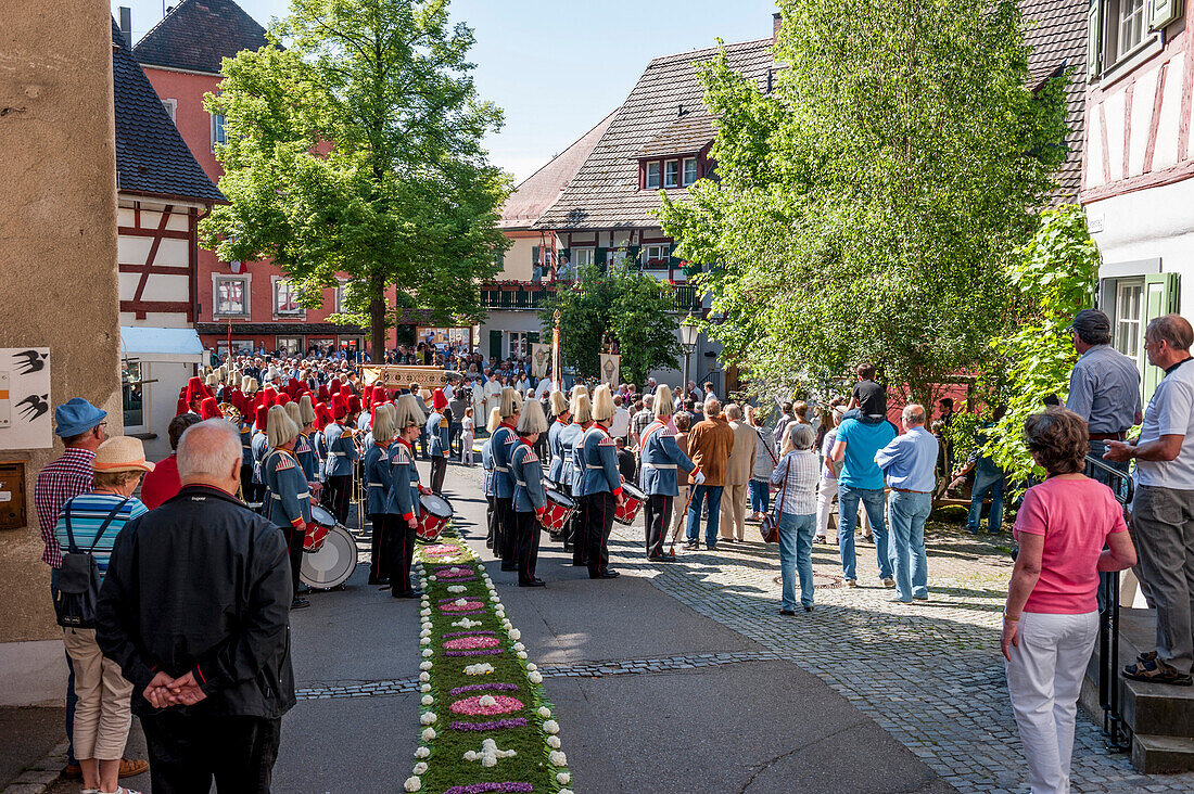 Traditional band, Corpus Christi, Feast of Corpus Christi procession, carpet of flowers, Sipplingen, Lake Constance, Baden-Wuerttemberg, Germany, Europe