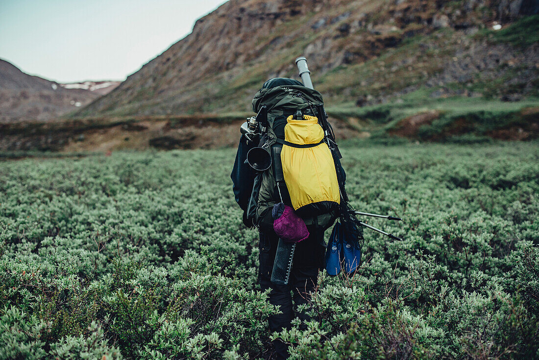 Hiker on a route through greenland, greenland, arctic.