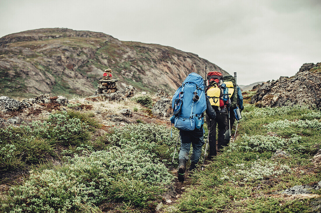 Hiker on a route through greenland, greenland, arctic.