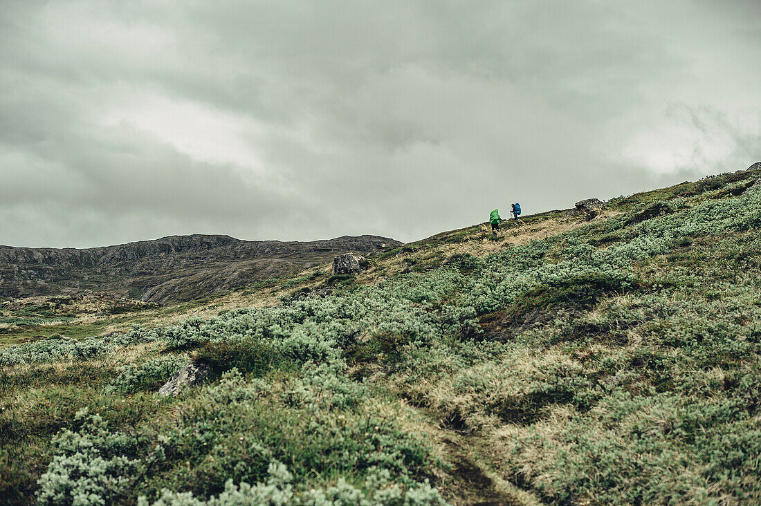 Hiker on a route through greenland, greenland, arctic.