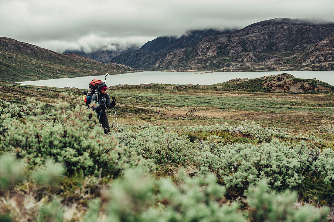 Hiker on a route through greenland, greenland, arctic.