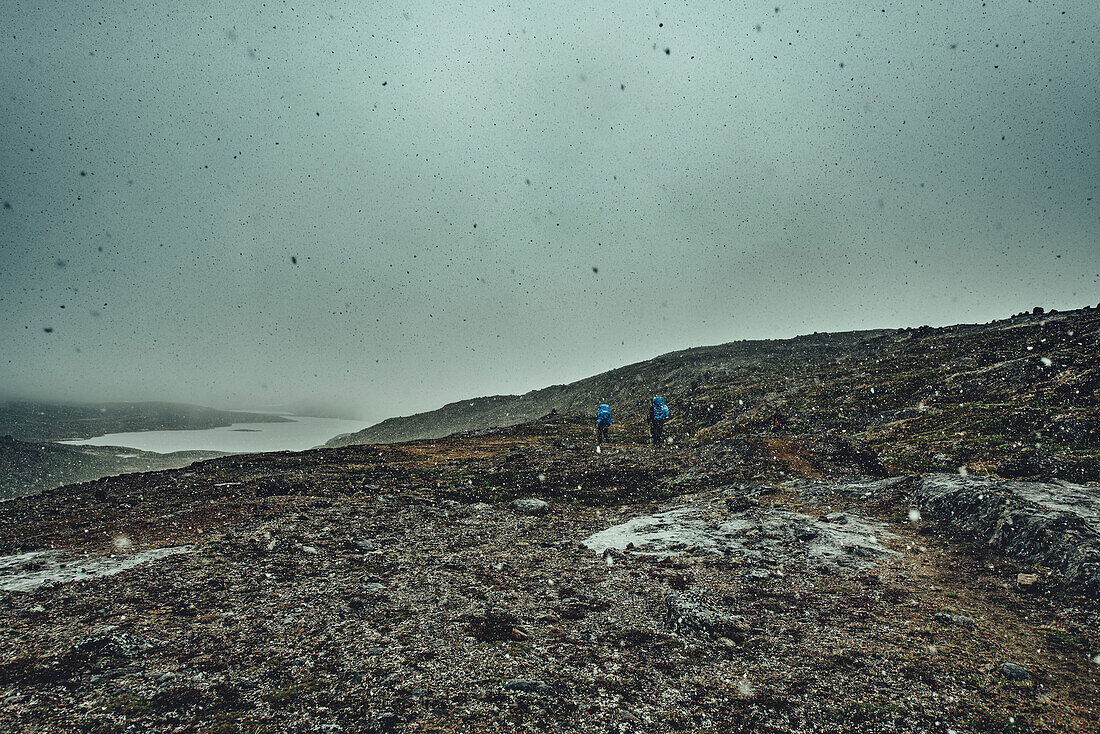 Hiker on a route through greenland, greenland, arctic.