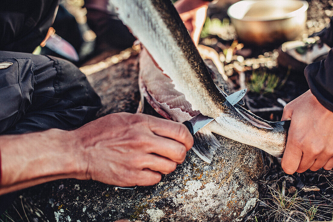 Mann bereitet einen Fisch zu, Grönland, Arktis.