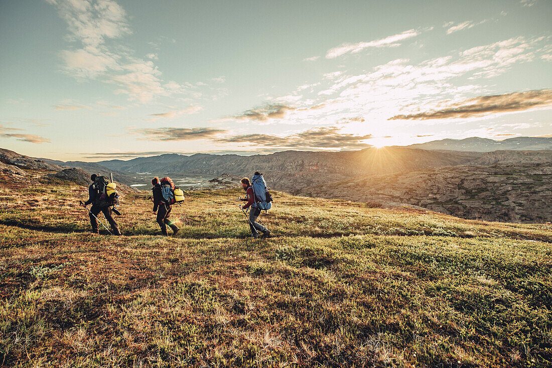 Hiker on a route through greenland, greenland, arctic.