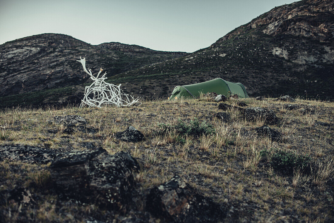tents, greenland, arctic.