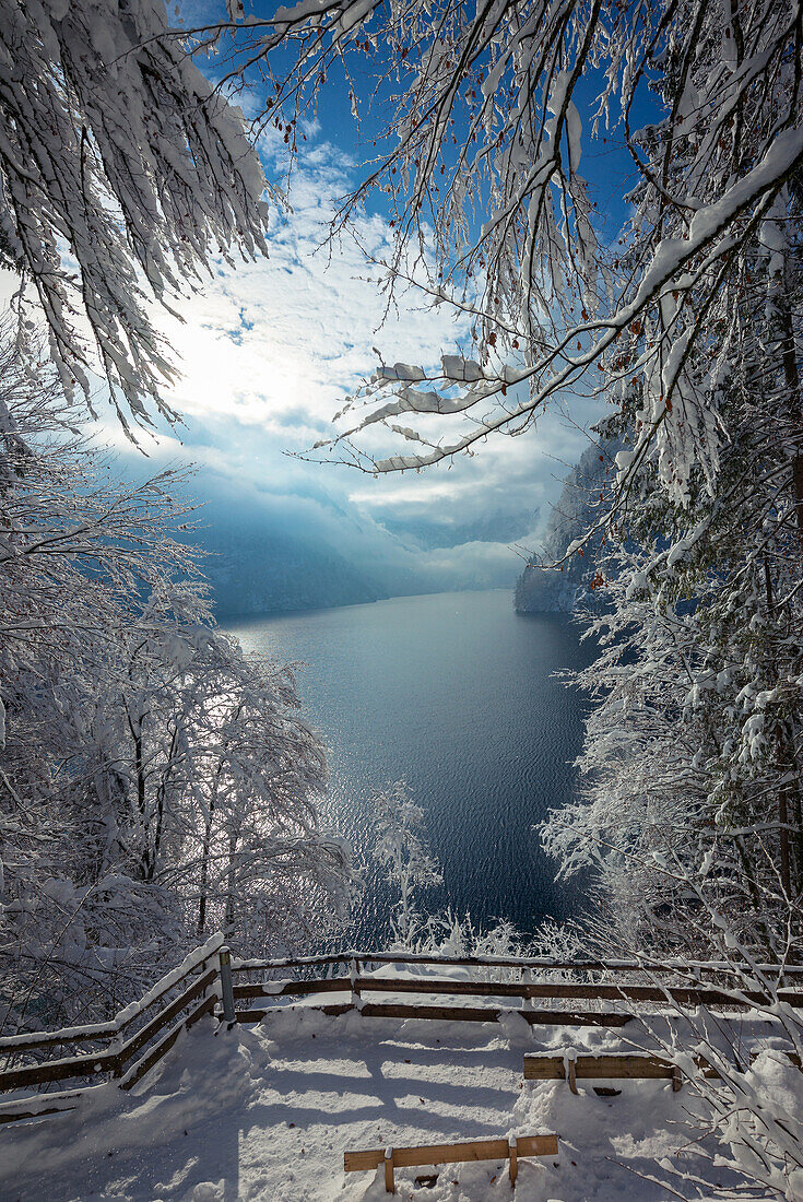 Winter am Königssee, Königssee, Berchtesgaden, Bayern, Deutschland