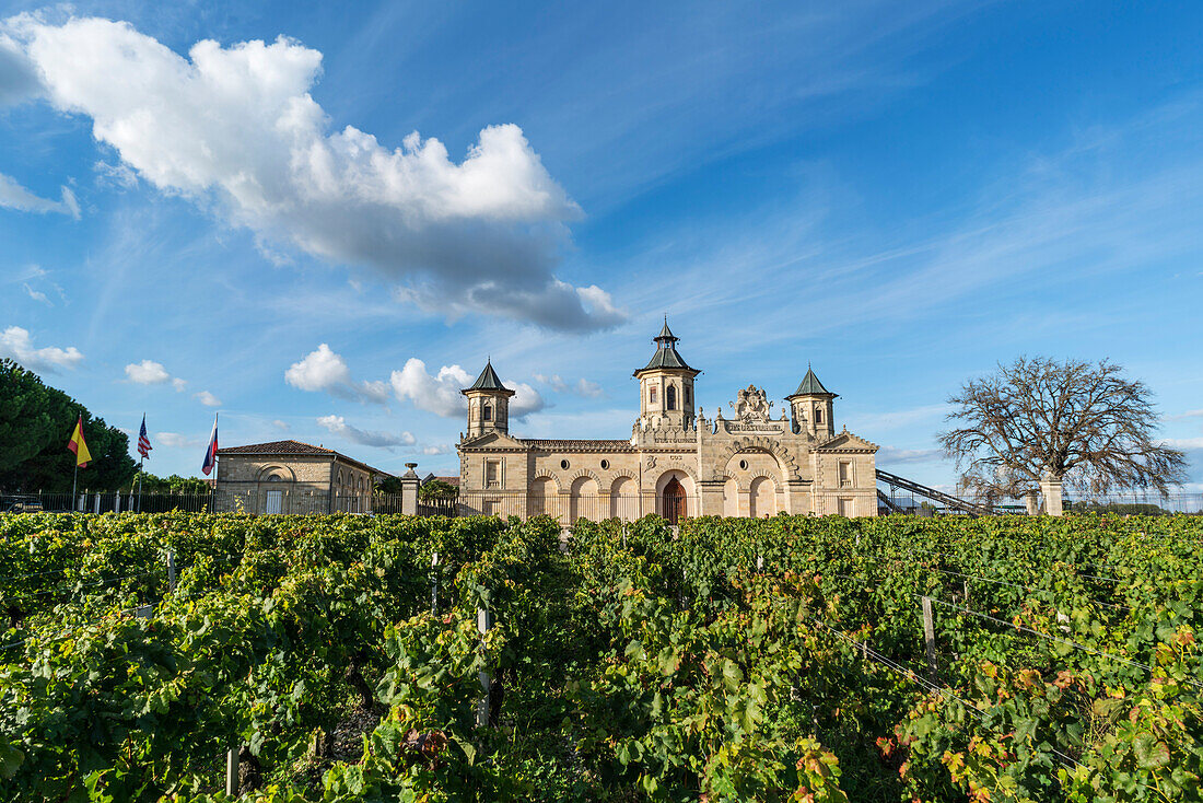 Cos d Estournel, vineyards in Medoc, Bordeaux, Gironde, Aquitaine, France, Europe