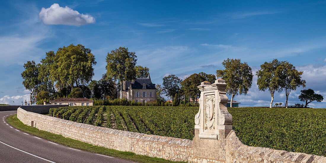 Chateau Latour, vineyards in Medoc, Bordeaux, Gironde, Aquitaine, France, Europe