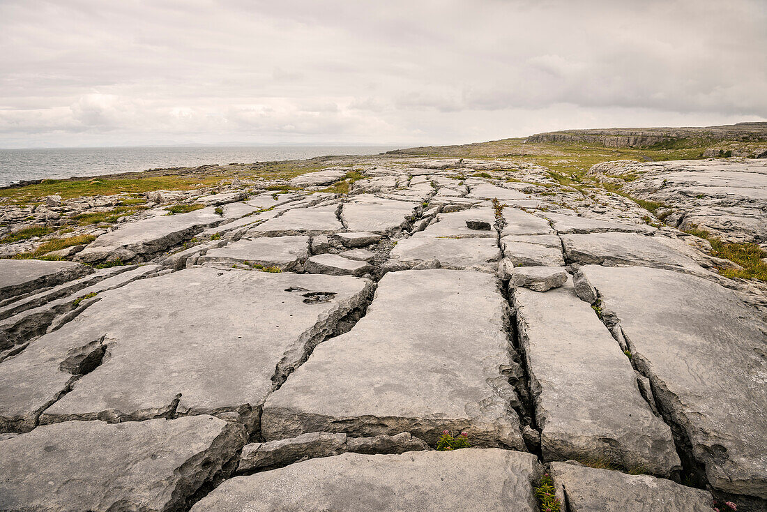 karst landscape The Burren, County Clare, Ireland, Europe