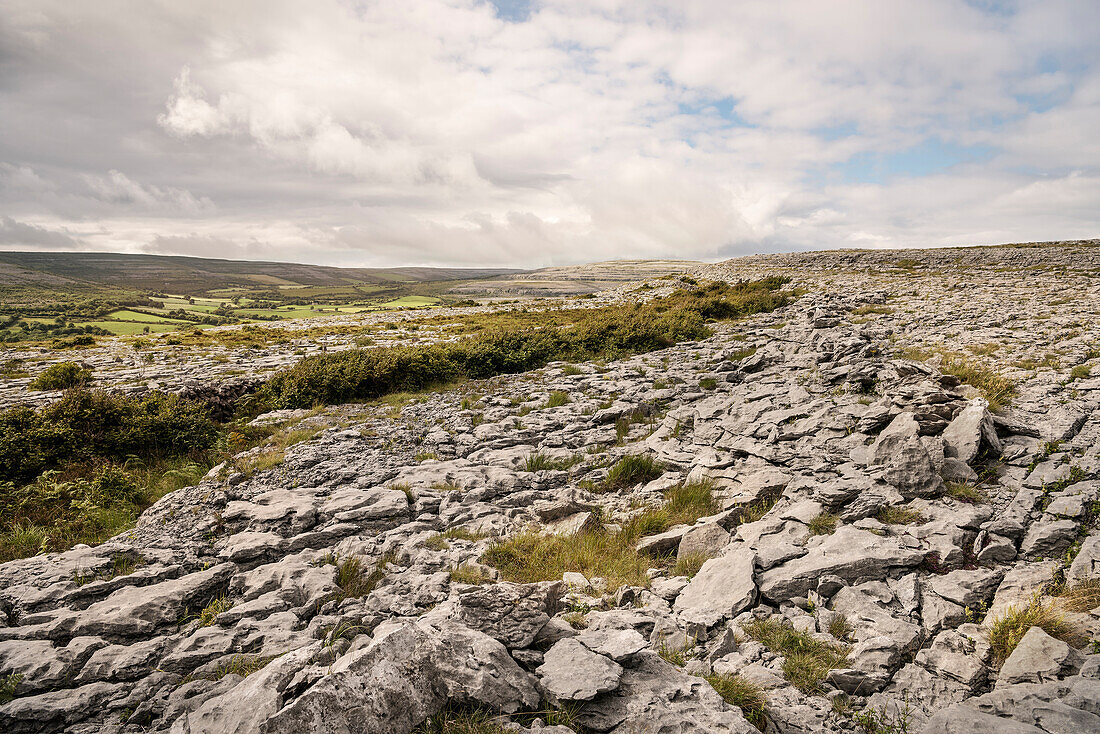 Karstlandschaft The Burren, Grafschaft Clare, Irland, Europa