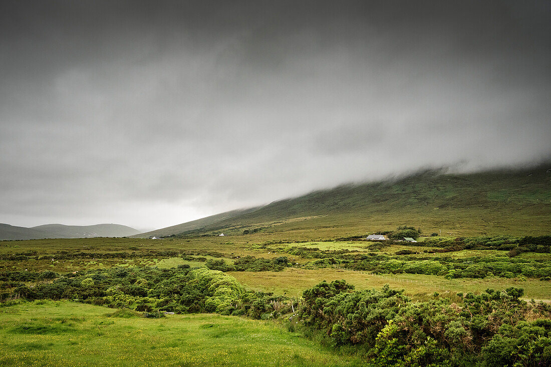 Gästehäuser auf dem Weg zu Slievemore (verlassenes Dorf), Achill Insel, Grafschaft Mayo, Irland, Wild Atlantic Way, Europa