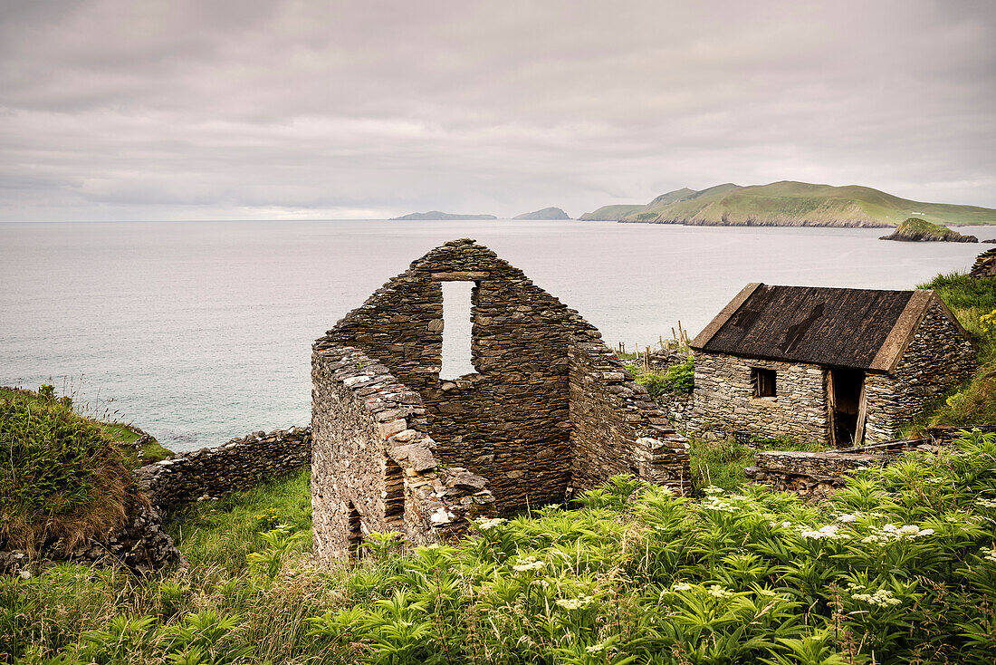 verlassenes und zerfallenes Stein Haus am Slea Head Aussichtspunkt, Dingle Halbinsel, Slea Head Drive, Grafschaft Kerry, Irland, Wild Atlantic Way, Europa