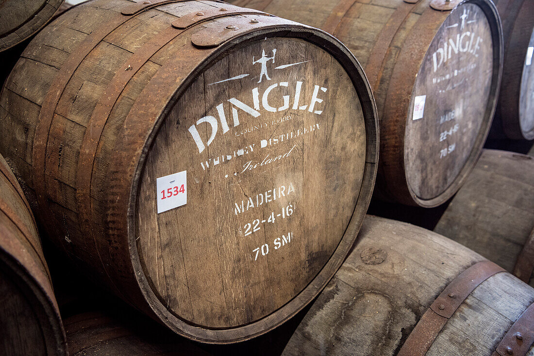 maturing Whiskey oak barrels, Dingle Whiskey Distillery, Dingle Peninsula, Slea Head Drive, County Kerry, Ireland, Wild Atlantic Way, Europe
