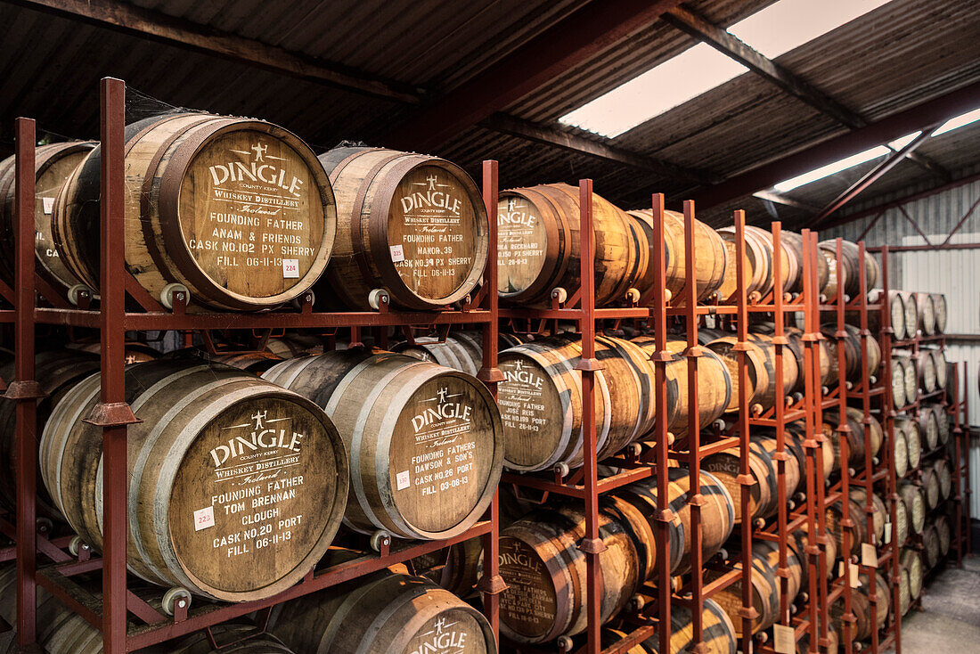 maturing Whiskey oak barrels, Dingle Whiskey Distillery, Dingle Peninsula, Slea Head Drive, County Kerry, Ireland, Wild Atlantic Way, Europe