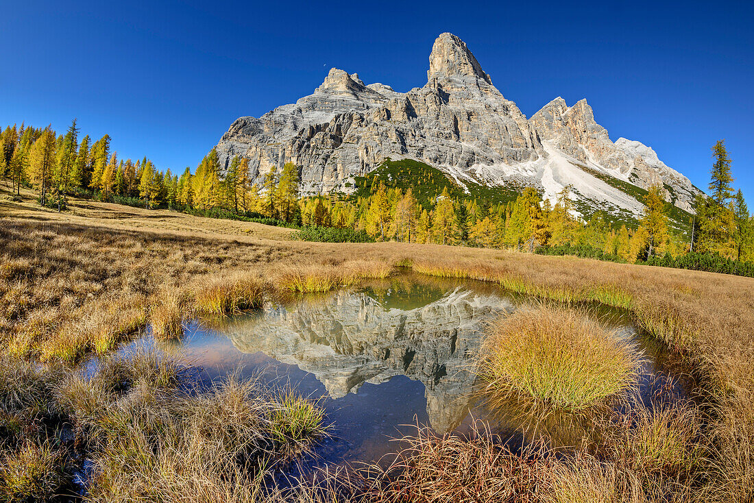 Monte Pelmo reflecting in mountain lake, Monte Pelmo, Dolomites, UNESCO World Heritage Site Dolomites, Venetia, Italy