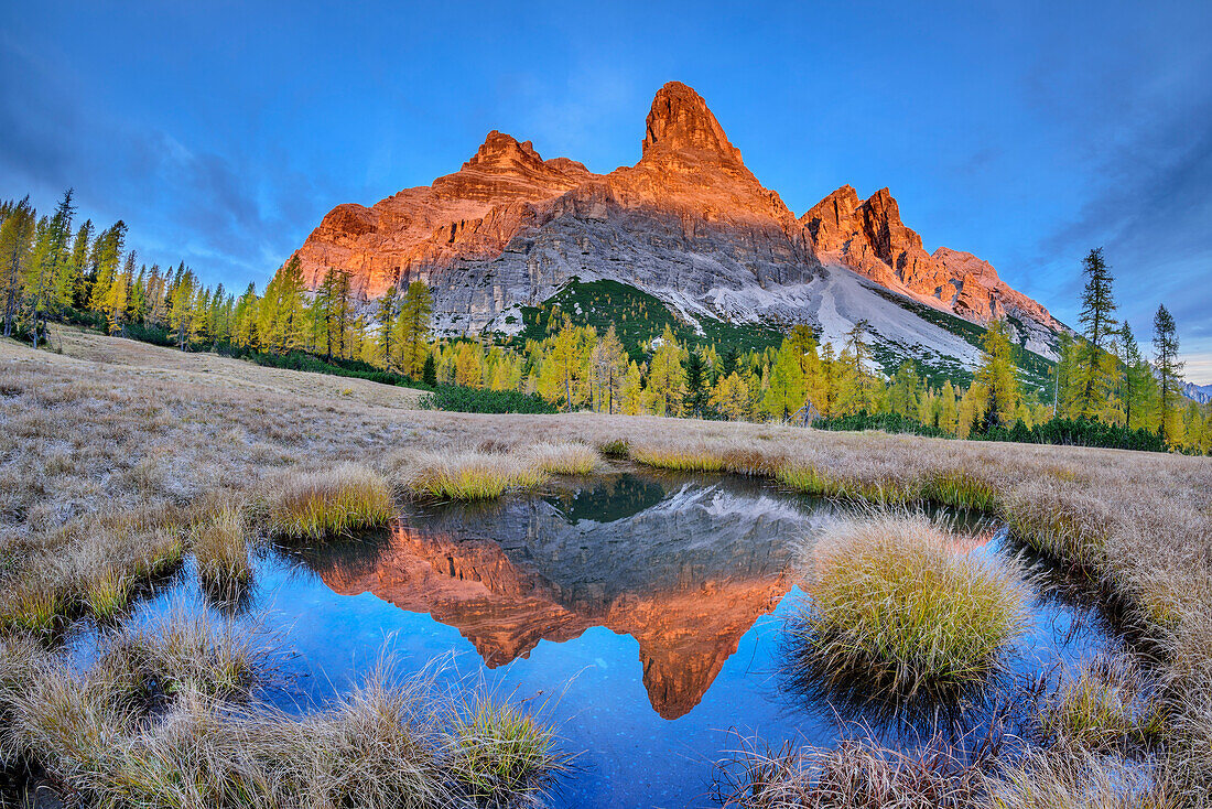 Monte Pelmo spiegelt sich bei Alpenglühen in Bergsee, Monte Pelmo, Dolomiten, UNESCO Welterbe Dolomiten, Venetien, Italien