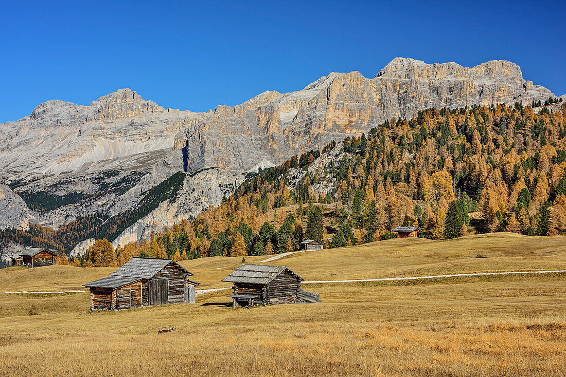 Meadows with hay barn and Fanes-Sennes group, Pralongia, Dolomites, UNESCO World Heritage Site Dolomites, Venetia, Italy