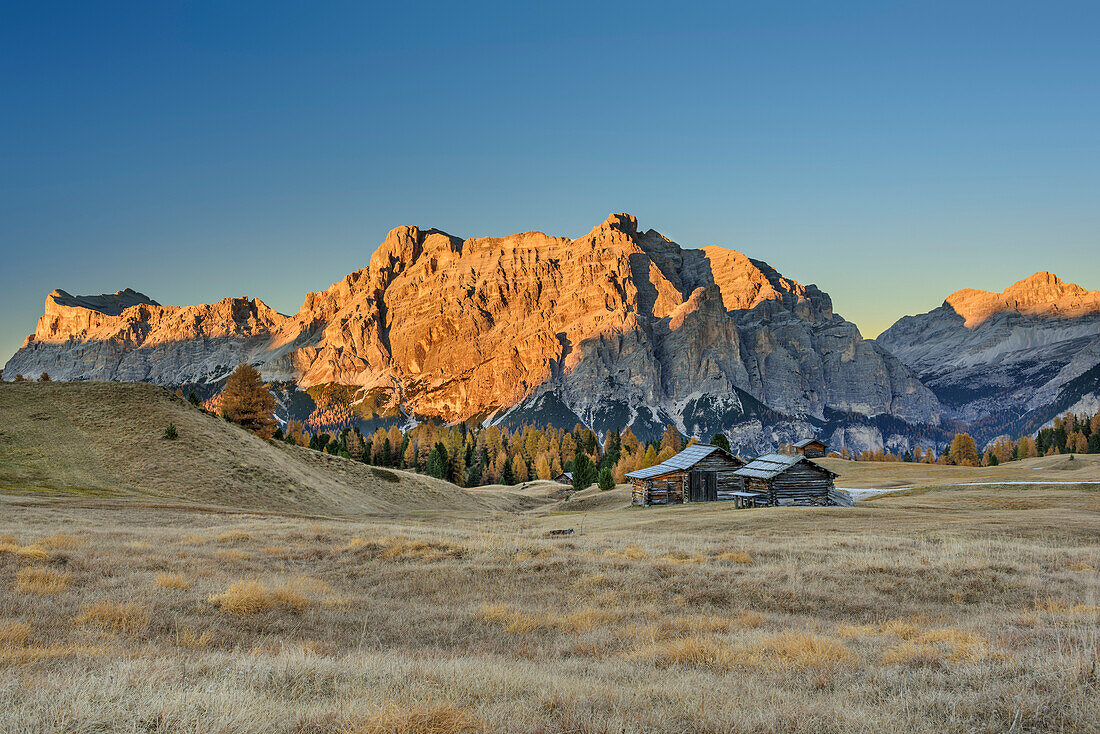 Meadows with hay barn and Fanes-Sennes group, Pralongia, Dolomites, UNESCO World Heritage Site Dolomites, Venetia, Italy