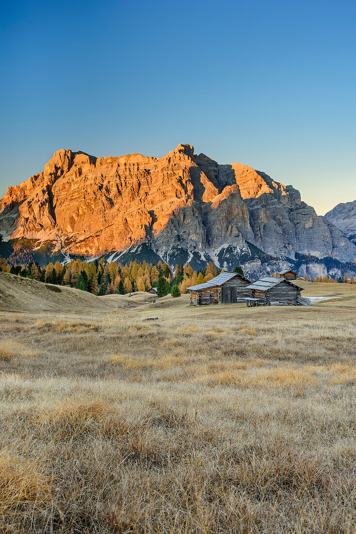 Meadows with hay barn and Fanes-Sennes group, Pralongia, Dolomites, UNESCO World Heritage Site Dolomites, Venetia, Italy