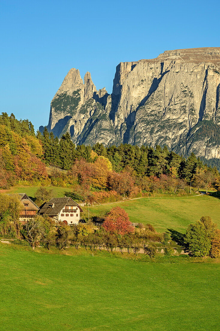 Farmhouses with Rosszaehne at Schlern in background, South Tyrol, Italy
