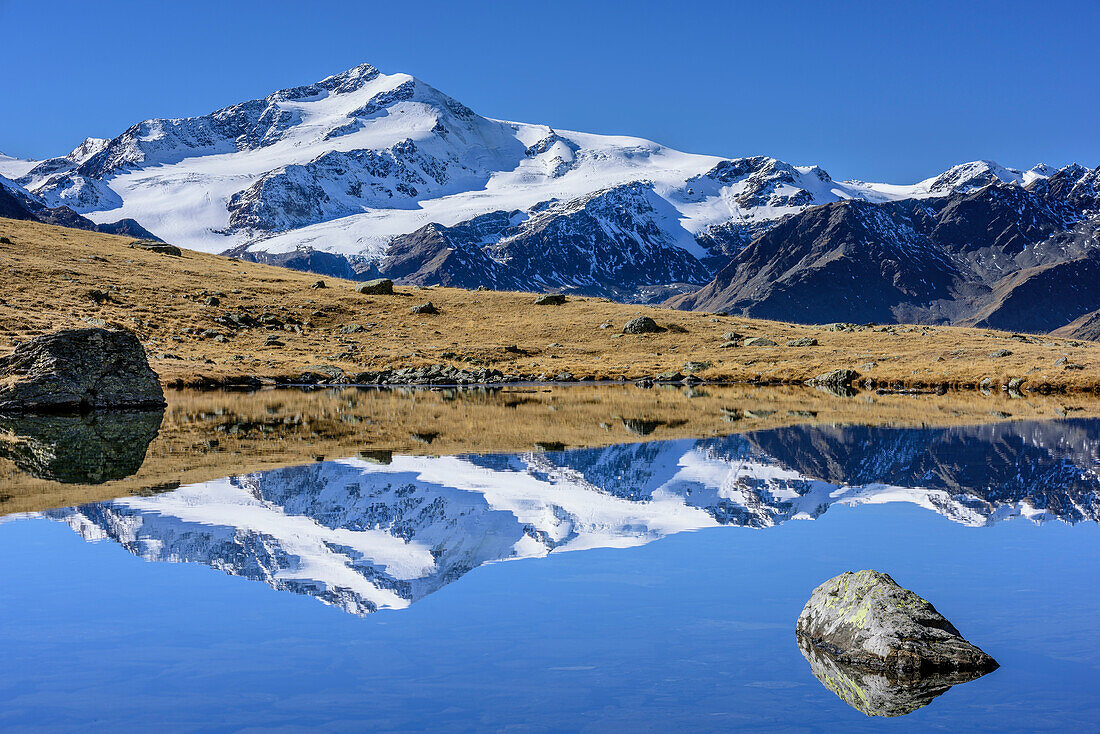 Cevedale reflecting in mountain lake, valley of Martelltal, Ortler group, South Tyrol, Italy
