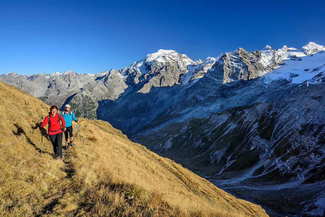 Mann und Frau beim Wandern, mit Ortler im Hintergrund, Stilfser Joch, Ortlergruppe, Südtirol, Italien