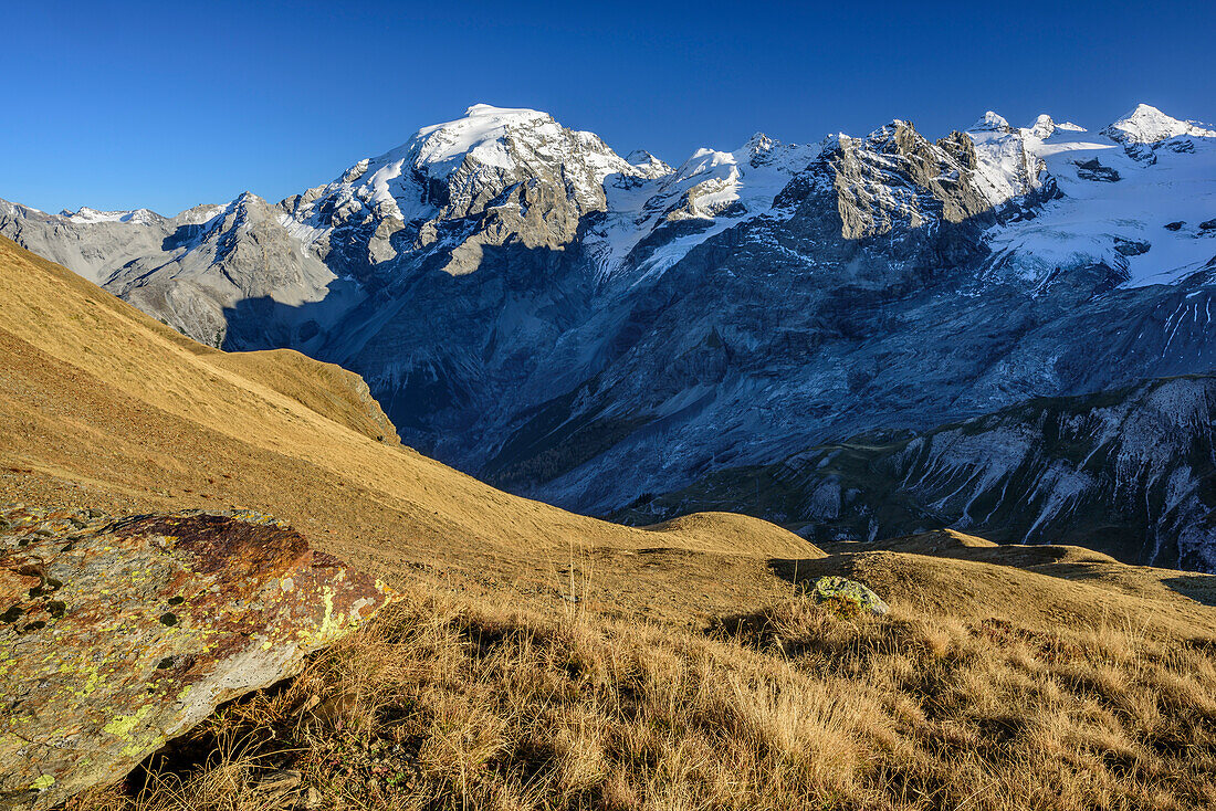 Ortler, Stilfser Joch, Ortler group, South Tyrol, Italy