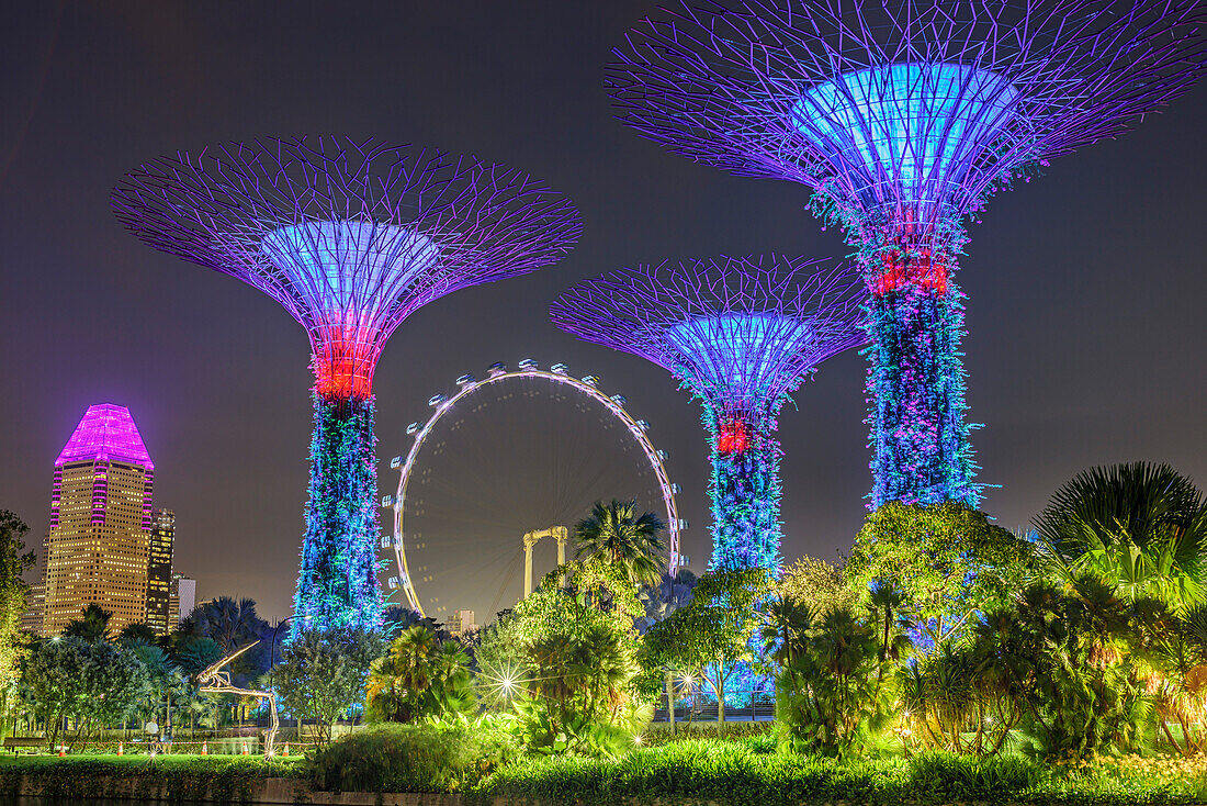 Beleuchtete SuperTrees in Garden of the Bay und Singapore Flyer, Marina Bay, Singapur