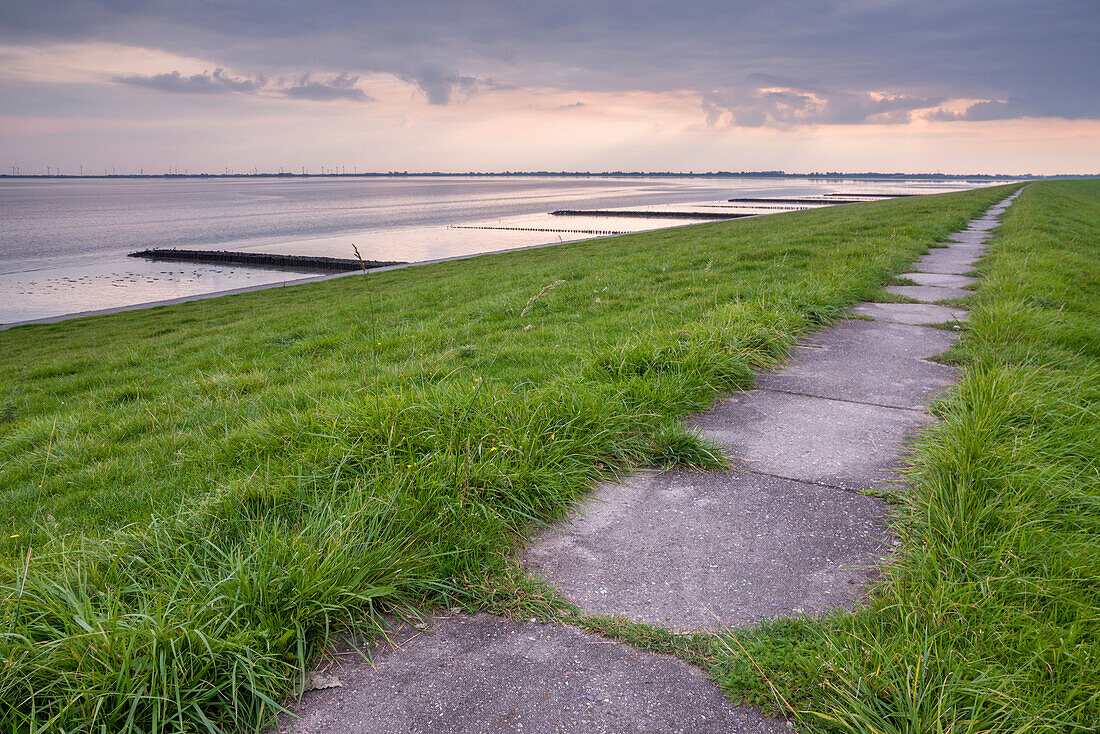 Deich und Buhne am Jadebusen im Abendlicht, Nationalpark Wattenmeer, Nordsee, Wilhelmshaven, Niedersachsen, Deutschland, Europa