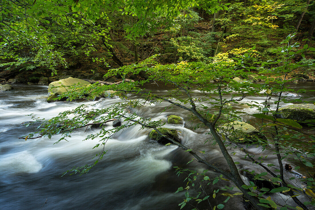 River Bode, Bode Valley, Thale, Harz District, Harz National Park, Saxony-Anhalt, Germany, Europe