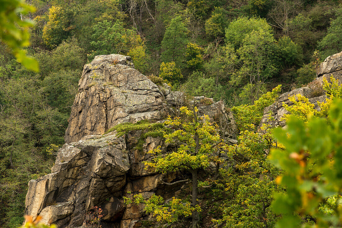 Blick von der Rosstrappe auf Granitfelsen im Bodetal bei Thale, Landkreis Harz, Nationalpark Harz, Sachsen-Anhalt, Deutschland, Europa