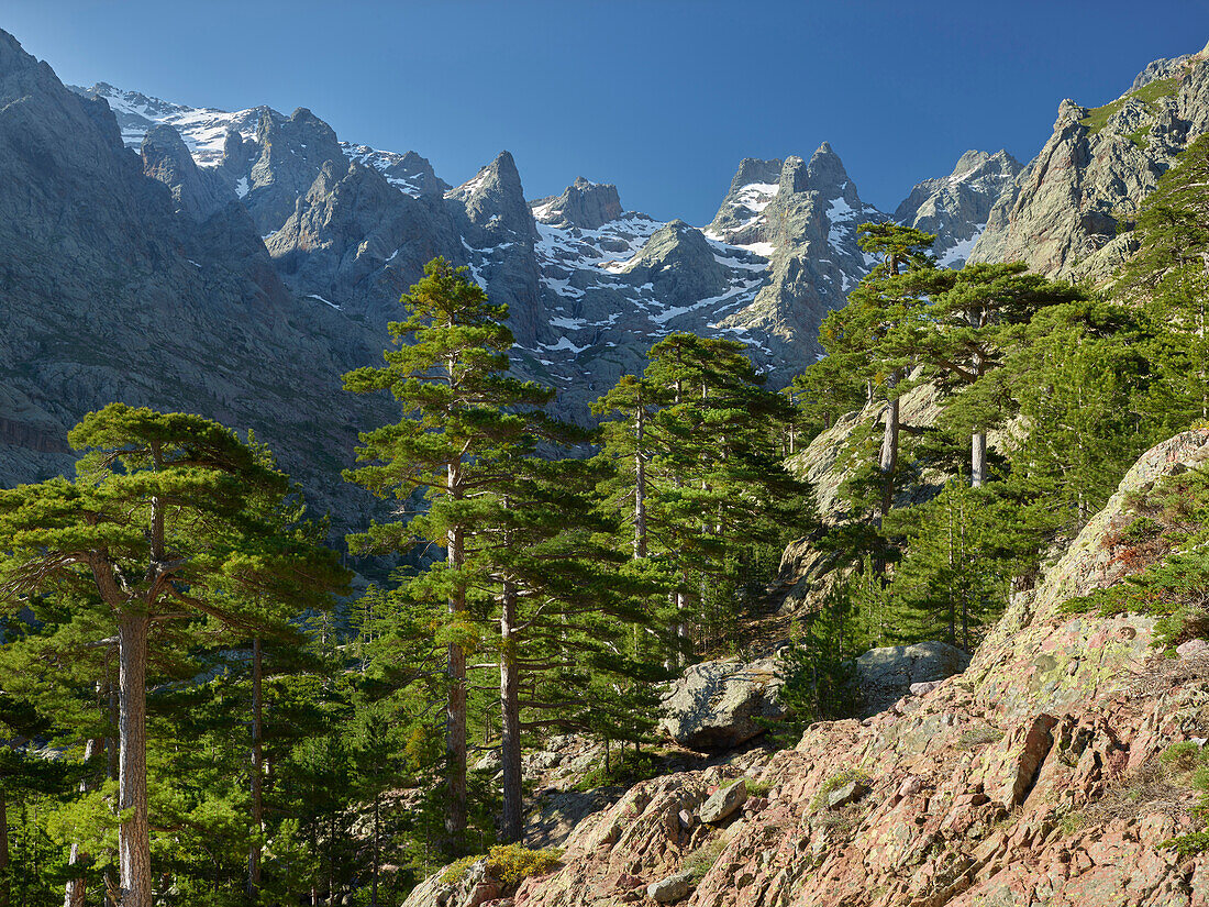 Monte Cinto, Haut Asco, Haute Corse, Korsika, Frankreich