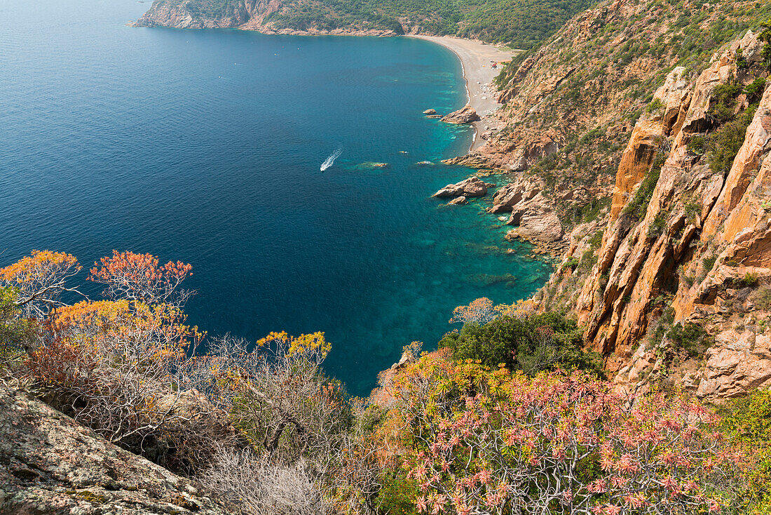 steep coast, bussaglia Golfe The Porto, Corsica, France