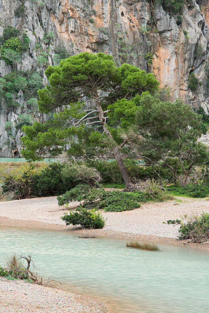 Torrent de pareis, Sa Calobra, Tramuntana, Mallorca, Balearic Islands, Spain