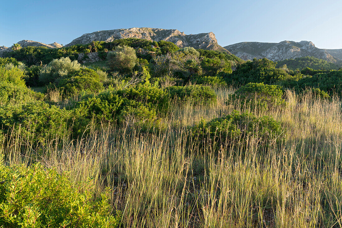 Berge bei Betlem, Badia d'Alcudia, Mallorca, Balearen, Spanien