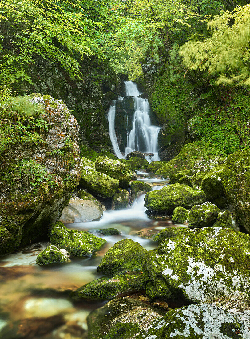 Water Event In lepena valley, Triglav National Park, Slovenia